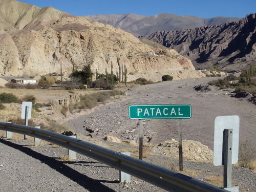 Patacal.